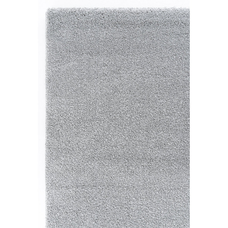 Rasun Indoor / Outdoor Area Rug, Rectangle 5'3" x 7'6"
