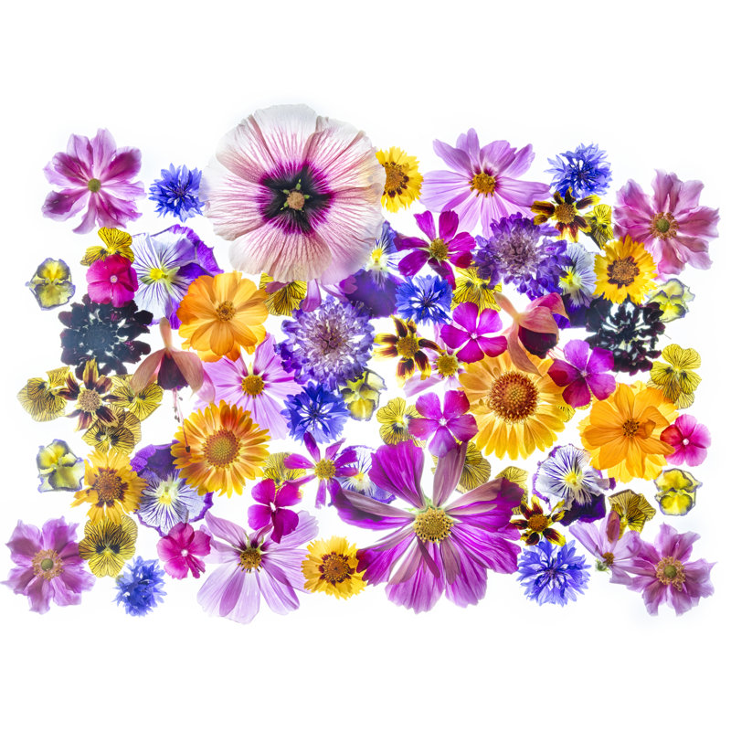 «Love Is a Many Splendored Thing» par Harold Davis - impression, H 24 po x l 32 po, Toile avec cadre noir