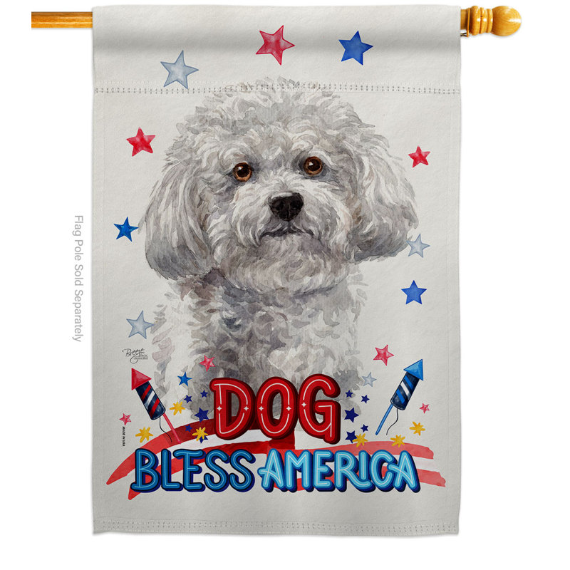 Drapeau de maison patriotique en polyester 3 faces 2 x 2 pi