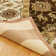 Wool Oriental Area Rug in Brown