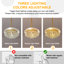 Alarica Chandelier
