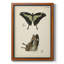 Toile encadrée de qualité supérieure Butterfly Profile III - prête à être accrochée-340286900