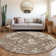 Premium Machine Washable Prisco Brown Rug