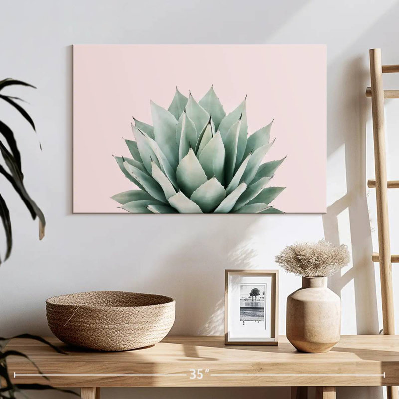Agave Harnek Blush, H 16 po x l 24 po