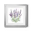 Lavande botanique II - peinture encadrée-481411732-481411729