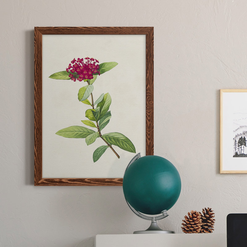 «Pretty Pink Botanicals II», reproduction d'art sur toile, H 23 po x l 32 po x P 1 po, Érable encadré