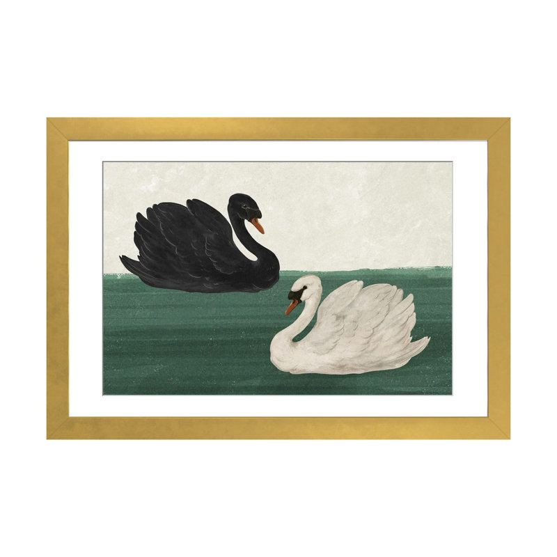 Noir cygne blanc cygne_1PFA, Cadre doré, H 16 po x l 24 po