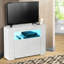 Amyjane Unfinished TV Stand for TVs up to 32"-1656839501