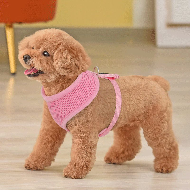 Harnais pour chien en maille, harnais anti-traction ajustable et rembourré avec anneau en D et boucle pour chiens, Rose