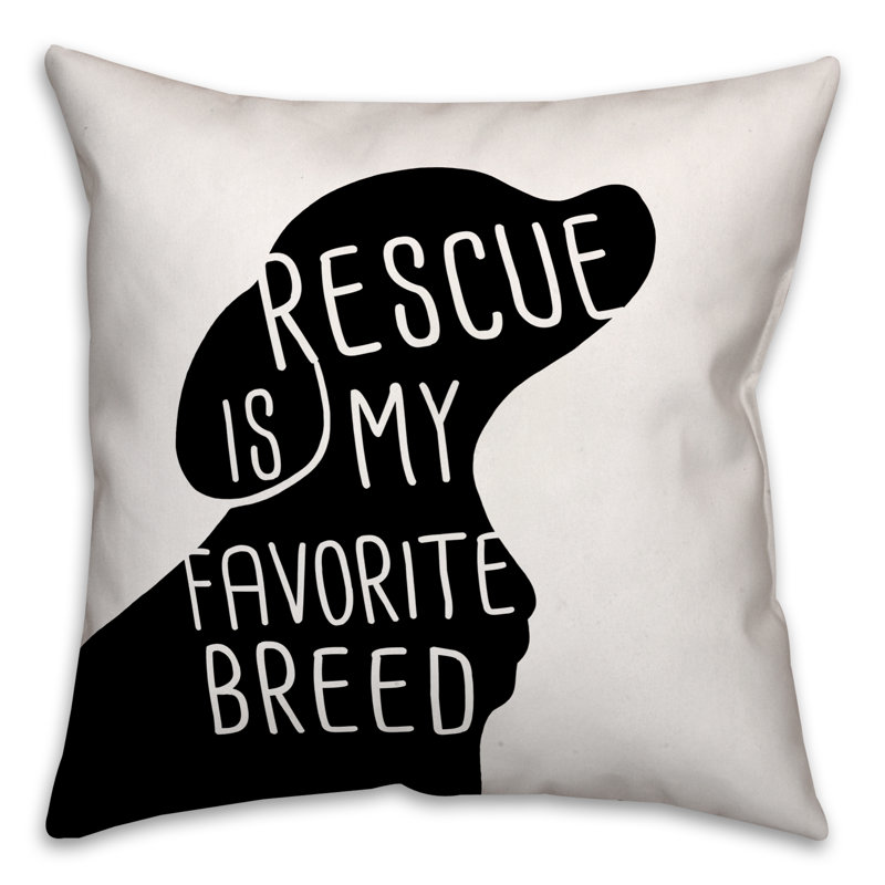 Square Pillow Cover & Insert