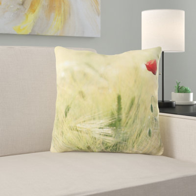 Coussin décoratif dépilé