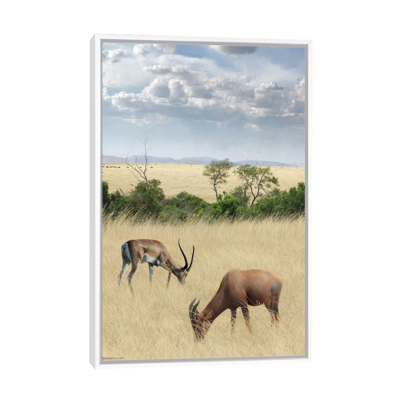 Kenya #2 1 Piece Wall Art on Canvas, 101.6 cm H x 66.04 cm W, White Framed