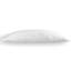 Coussin Potterville-1423106290