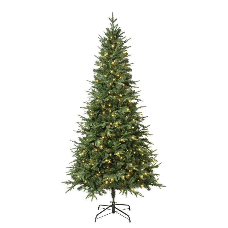 Arbre vert clair Duxbury, H 7,5 pi, Illuminé