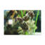 No Frame Print on Canvas-1194459847