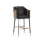 Carter Upholstered Bar Stool with Metal Frame
