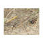No Frame Print on Canvas-306366783
