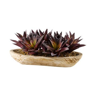 12'' Faux Aloe Succulent in Solid Wood Planter