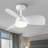 Jareem 28'' Ceiling Fan with LED Lights