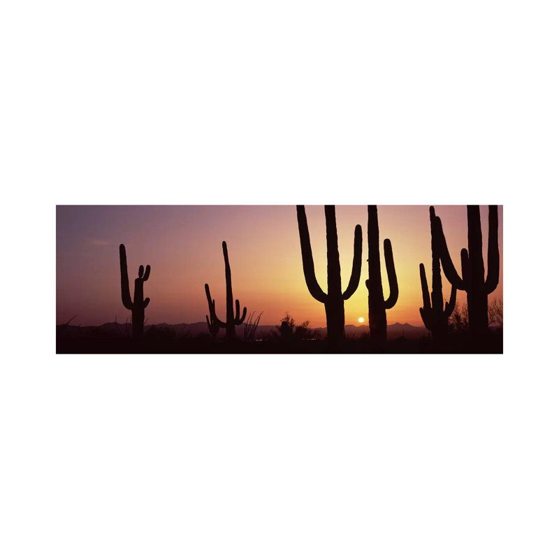 Silhouette Of Saguaro Cacti (Carnegiea Gigantea) On A Landscape, Saguaro National Park, Tucson, Pima County, Arizona, USA - Wrapped Canvas Panoramic Print
