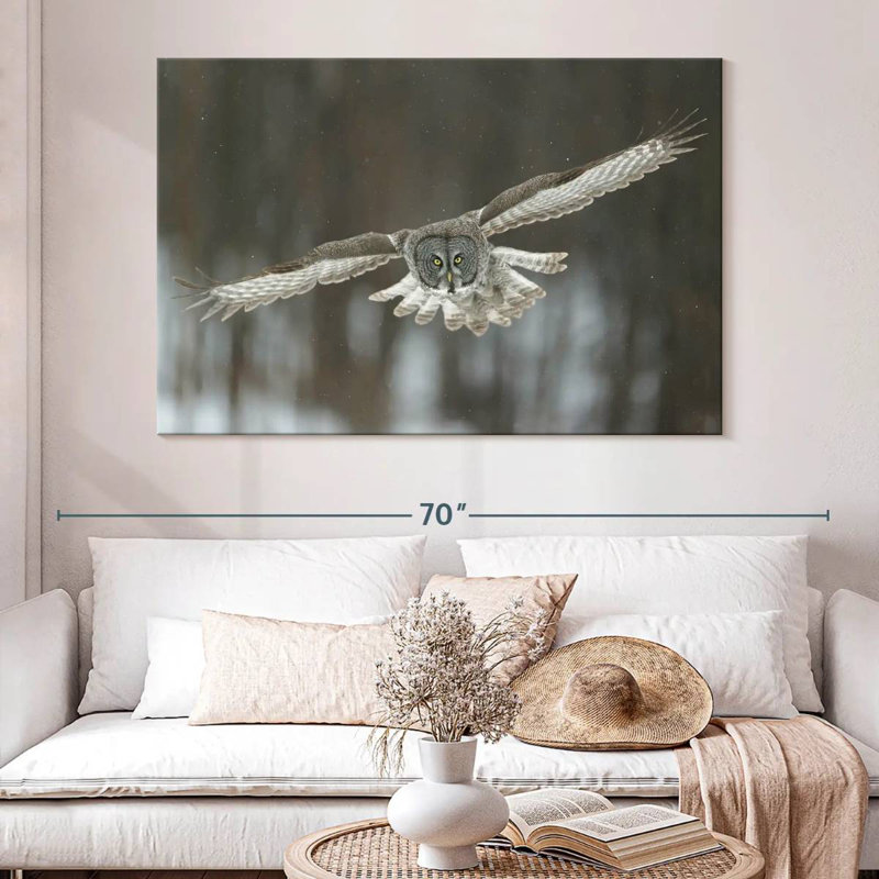 Brampt Flying Great Gray Owl, 34" H x 51" W