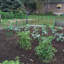 Support de plante galvanisé Bowermaster-27157352-27157354
