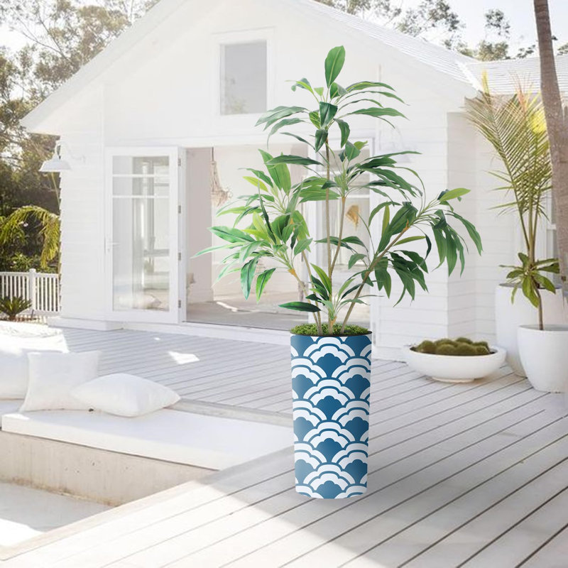 66 plantes, Bleu nuage