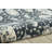 Lamarche Oriental Rug-22463093