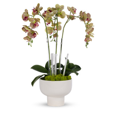 Orchid Faux Floral in Pot