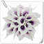 Arrangement Lillies-623490147-623490075