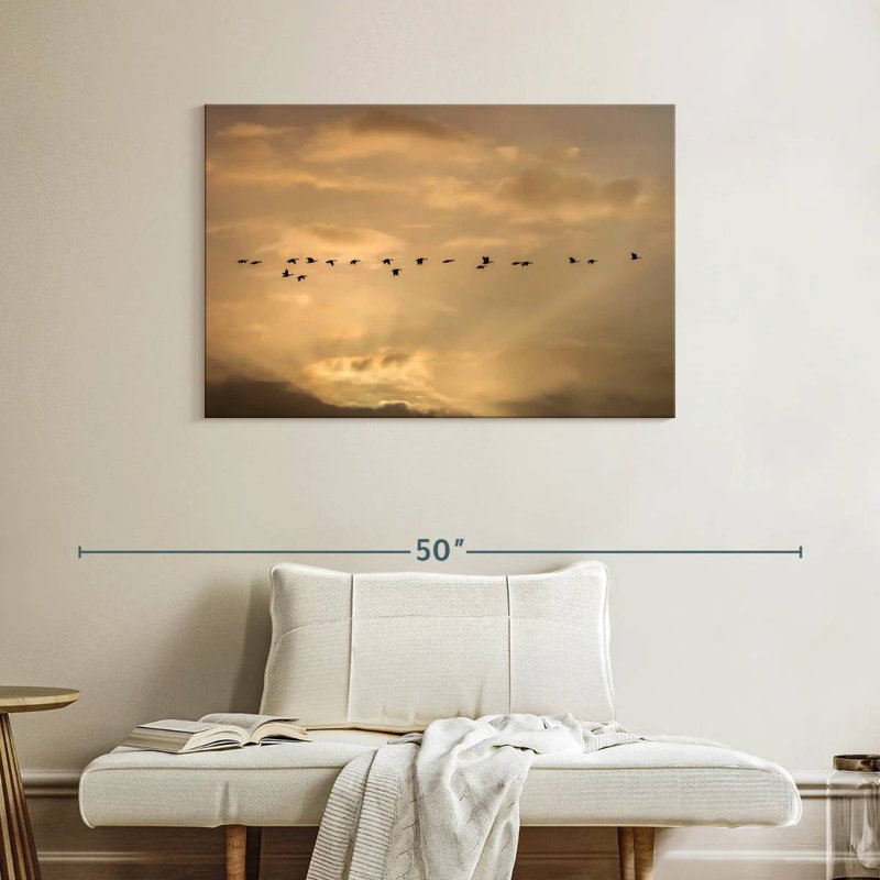Alvord Flock Flying High
