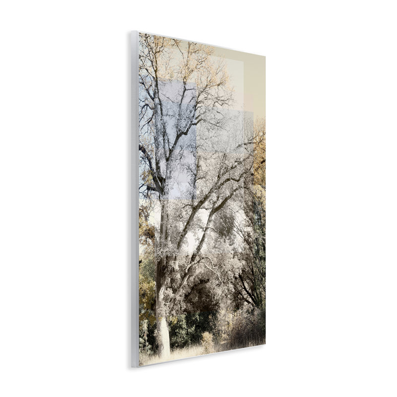Plaque murale Tree Collage Layers, design par Gemma Bardot, H 19 po x l 13 po