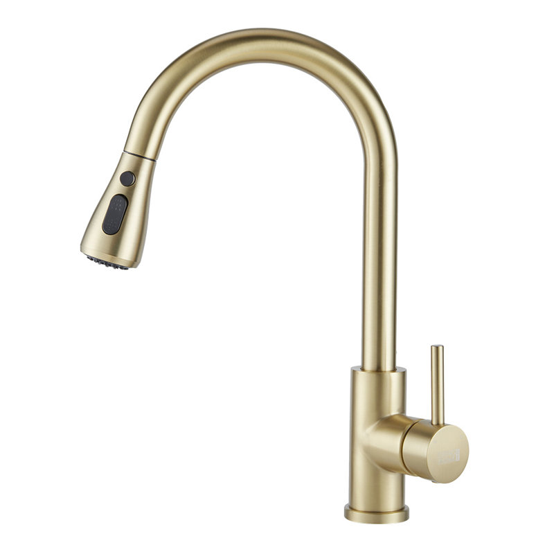 Belfry Kitchen Orin Kitchen Faucet, Gold