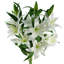 Plastic, Silk Artificial Arrangement-89222282