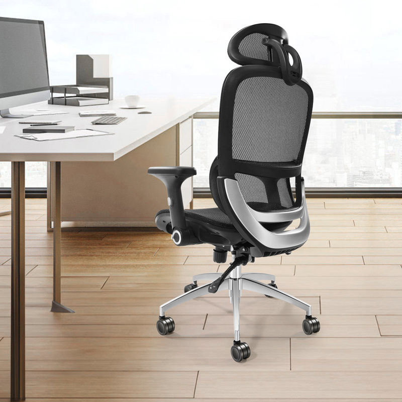 Jerlyn Ergonomic Office Chair with Headrest