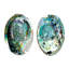 «Dovecove McCavitt, Naomi», reproduction d'art sur toile tendue: Abalone Shells I-1172862124