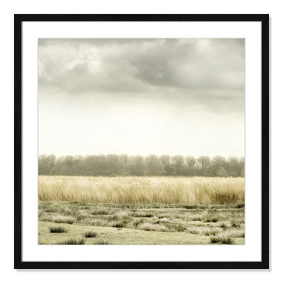 Henri "Meadowland" Print by Danita Delimont