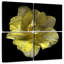 Tulipe jaune Harnek I-109154340