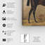 Brauner Im Stall Farm Animals par Emil Volkers - sur toile-61799181-61799178