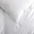Winter Goose Down Comforter-1543317155