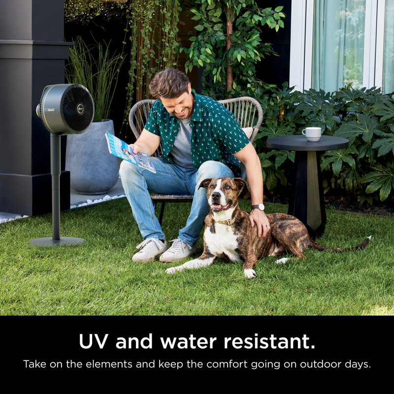Shark 37" Oscillating Pedestal/Standing Fan