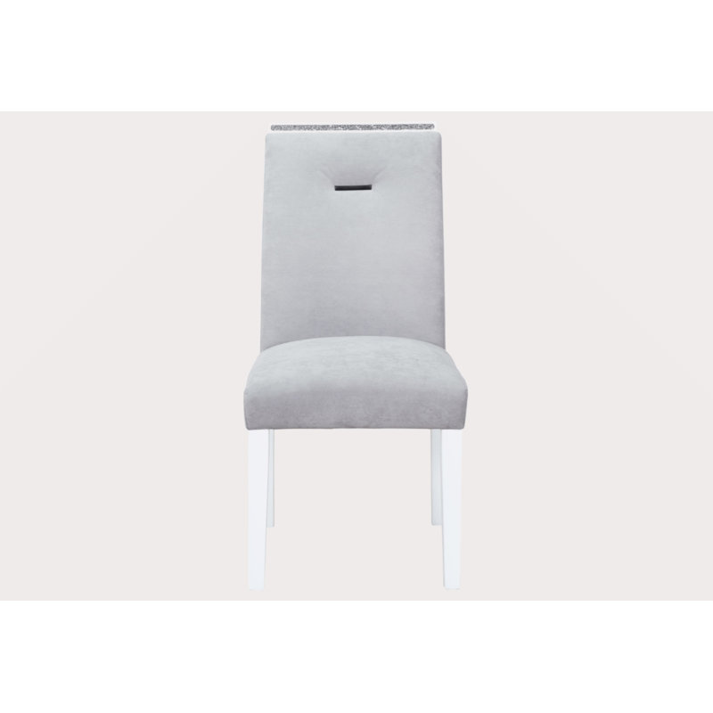 Ensemble de 2 chaises de salle à manger ARIYA GRIS / BLANC