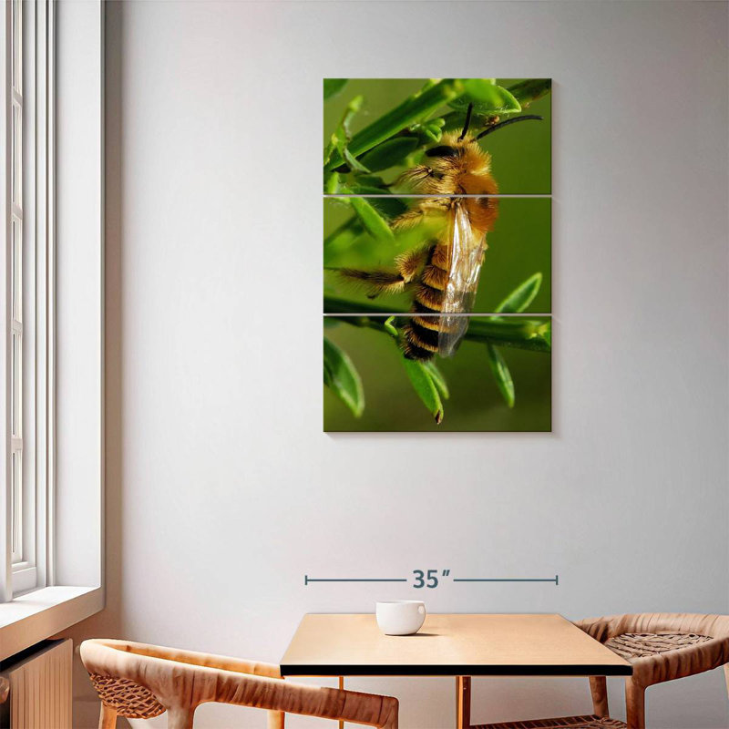 Brampt Bee Bee Bee, H 57 po x l 36 po