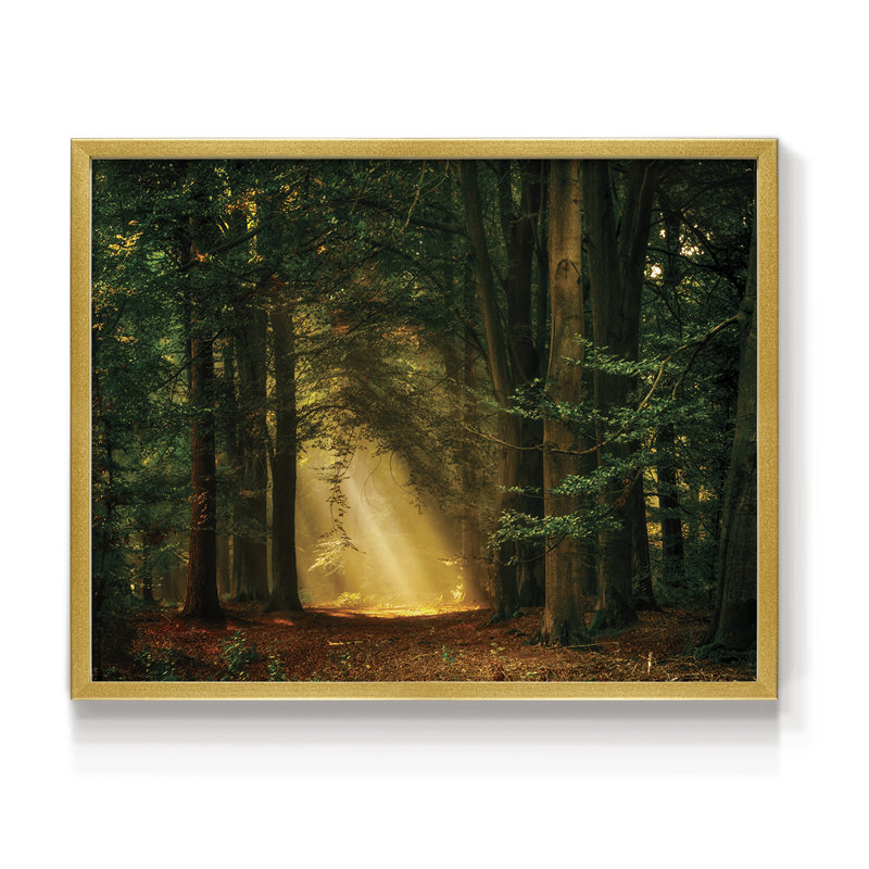 Shine On -Framed Print - Restickable