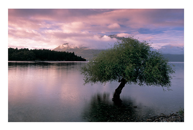 Pete Seaward - No Frame Print, Paper