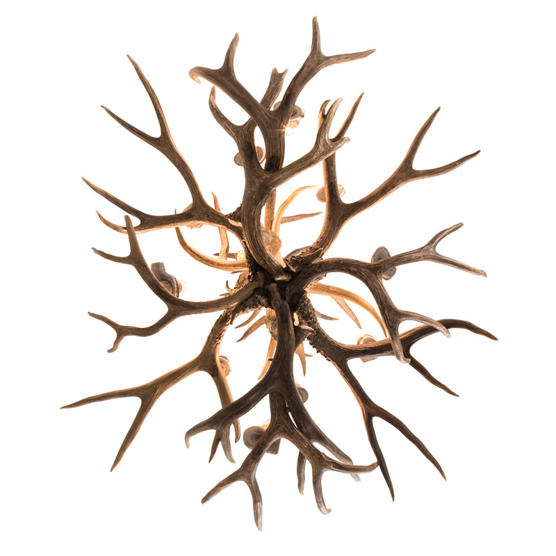 10 - Light Chandelier