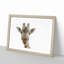 Curious Giraffe - Picture Frame Graphic Art Print-56708870-56708875