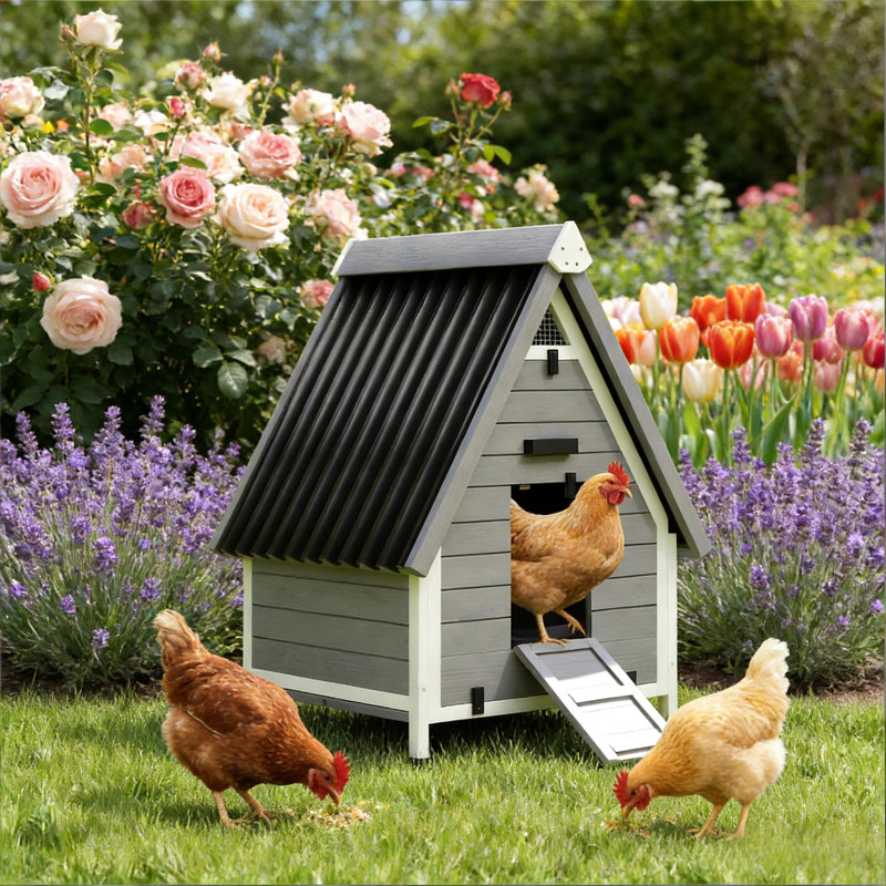 Niche pour animaux toutes saisons pour volaille, avec une double porte d'entrée et un poulailler personnalisable avec porte, une boîte amovible et un perchoir