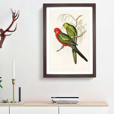 King Lory Parrot by Elizabeth Gould - Picture Frame Graphic Art Print