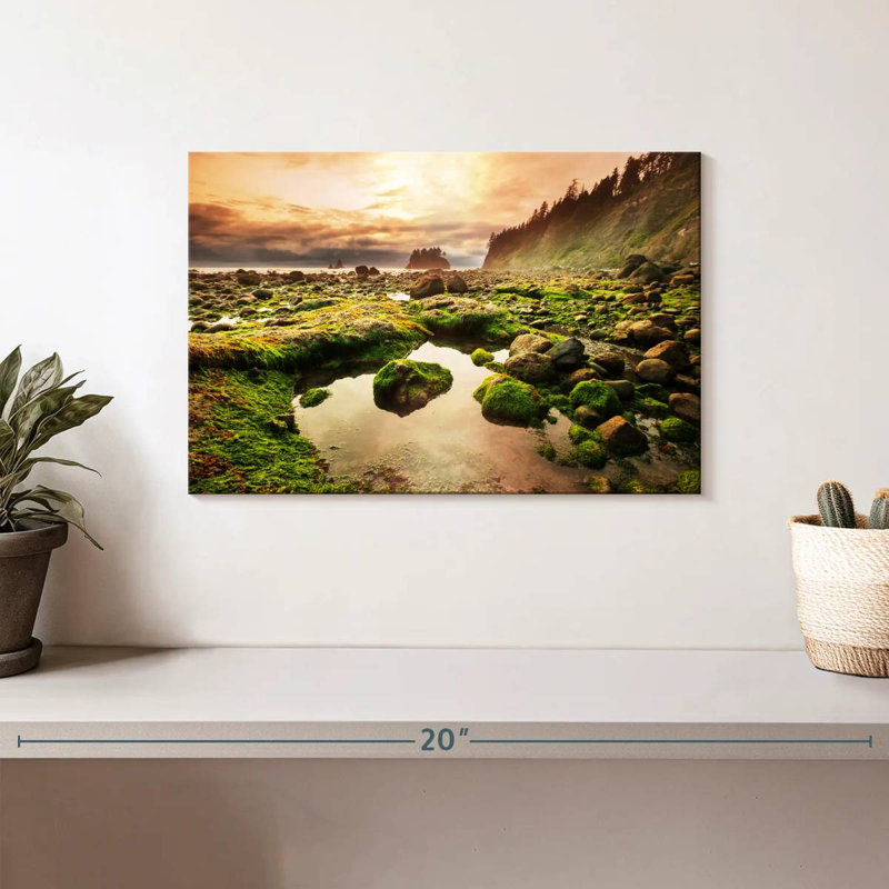 Gillard Olympic Park Mossy Rocks, 8" H x 12" W